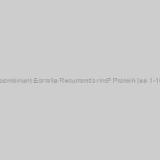 Image of Recombinant Borrelia Recurrentis rimP Protein (aa 1-143)